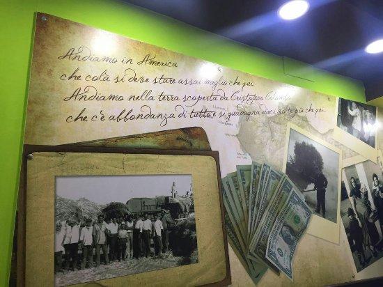 Pizza Uno Di Picone e Garaffa SNC